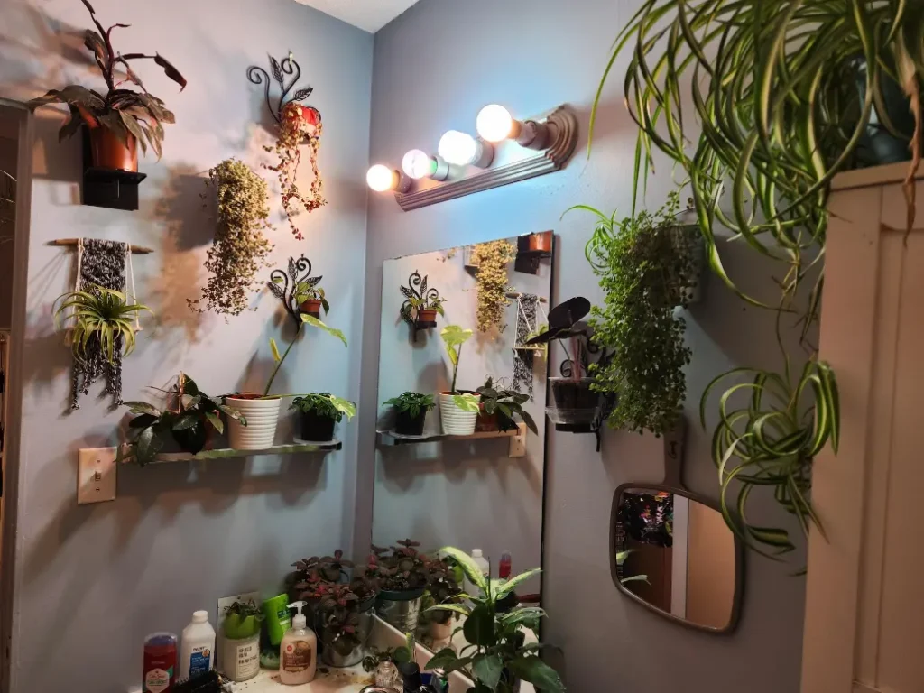 bedroom with potted plants on a dresser and a hanging plant near the window